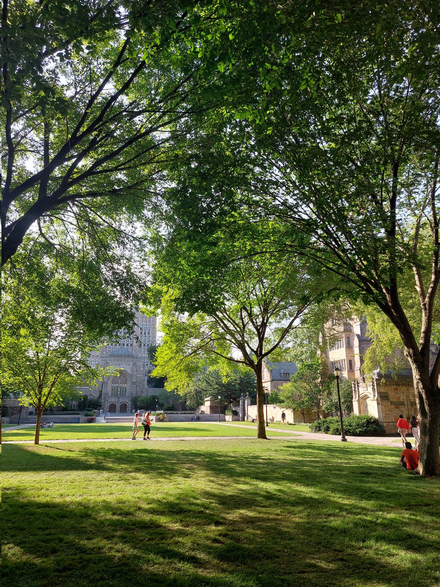 Federico De Ponti (@federicodepont1) on Twitter photo Thrilled to announce that I'll be spending the next three months at <a href="/YaleMed/">Yale School of Medicine</a> <a href="/YaleIBIO/">Yale Department of Immunobiology</a> in the lab of Carla Rothlin and Sourav Gosh, studying macrophage responses in liver injury! Grateful to <a href="/FWOVlaanderen/">FWO</a> for making this incredible opportunity possible. Exciting times ahead! 🤜🏻 Thrilled to announce that I'll be spending the next three months at <a href="/YaleMed/">Yale School of Medicine</a> <a href="/YaleIBIO/">Yale Department of Immunobiology</a> in the lab of Carla Rothlin and Sourav Gosh, studying macrophage responses in liver injury! Grateful to <a href="/FWOVlaanderen/">FWO</a> for making this incredible opportunity possible. Exciting times ahead! 🤜🏻
