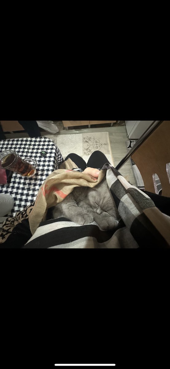 Bu arada buralarda yokken benim böyle bir miniğim oldu hatta şu an tam tosuncuk oldu görmeniz lazım 😍