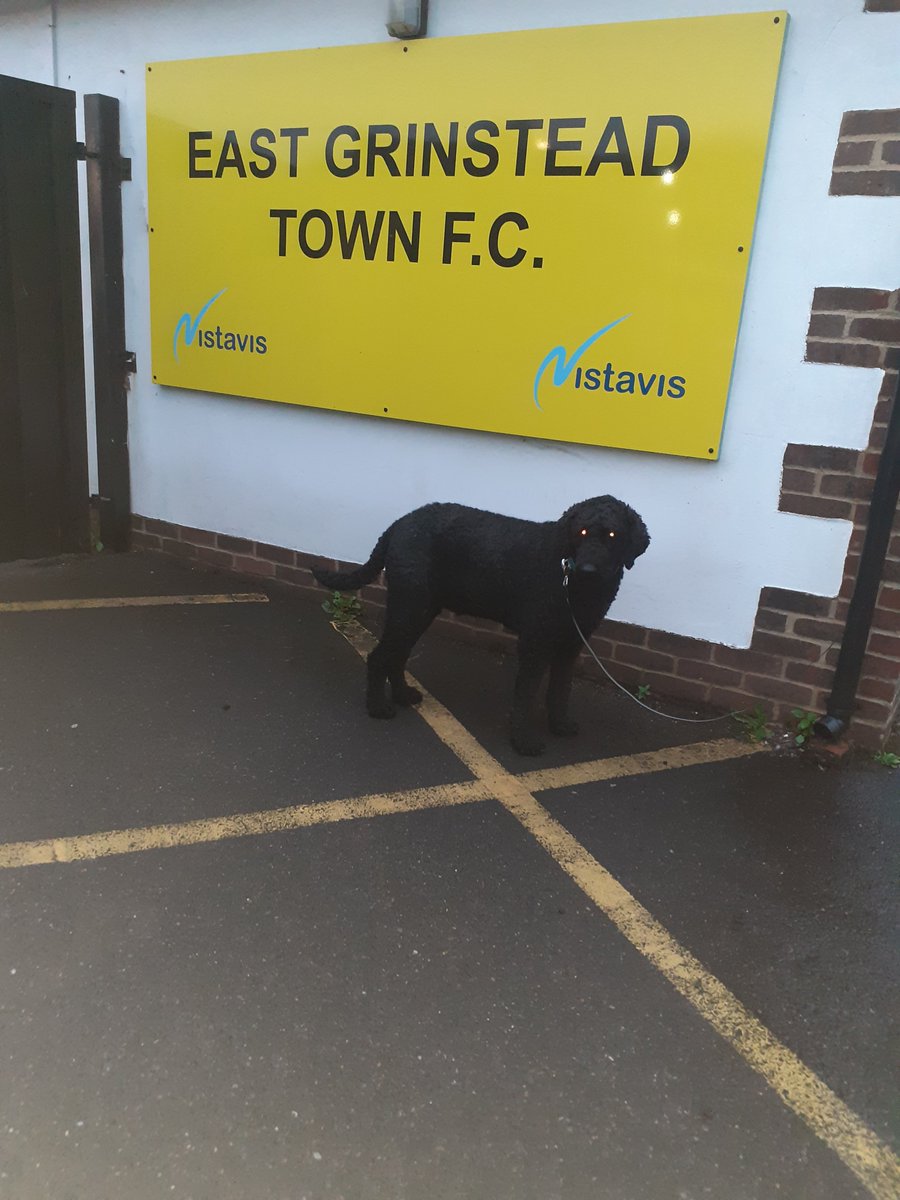 Last game of CookBoy does NrthSusx. He's at another new ground at likely the only game left on in Susx tonite following afternoons deluge. It's <a href="/egtfcwasps/">East Grinstead Town FC</a> who play <a href="/eastbourneuafc/">Eastbourne United AFC</a> in the FA Yth Cup Prelim Rnd. The game reversed as Utd's 3g is being installed. Expecting a goodun.