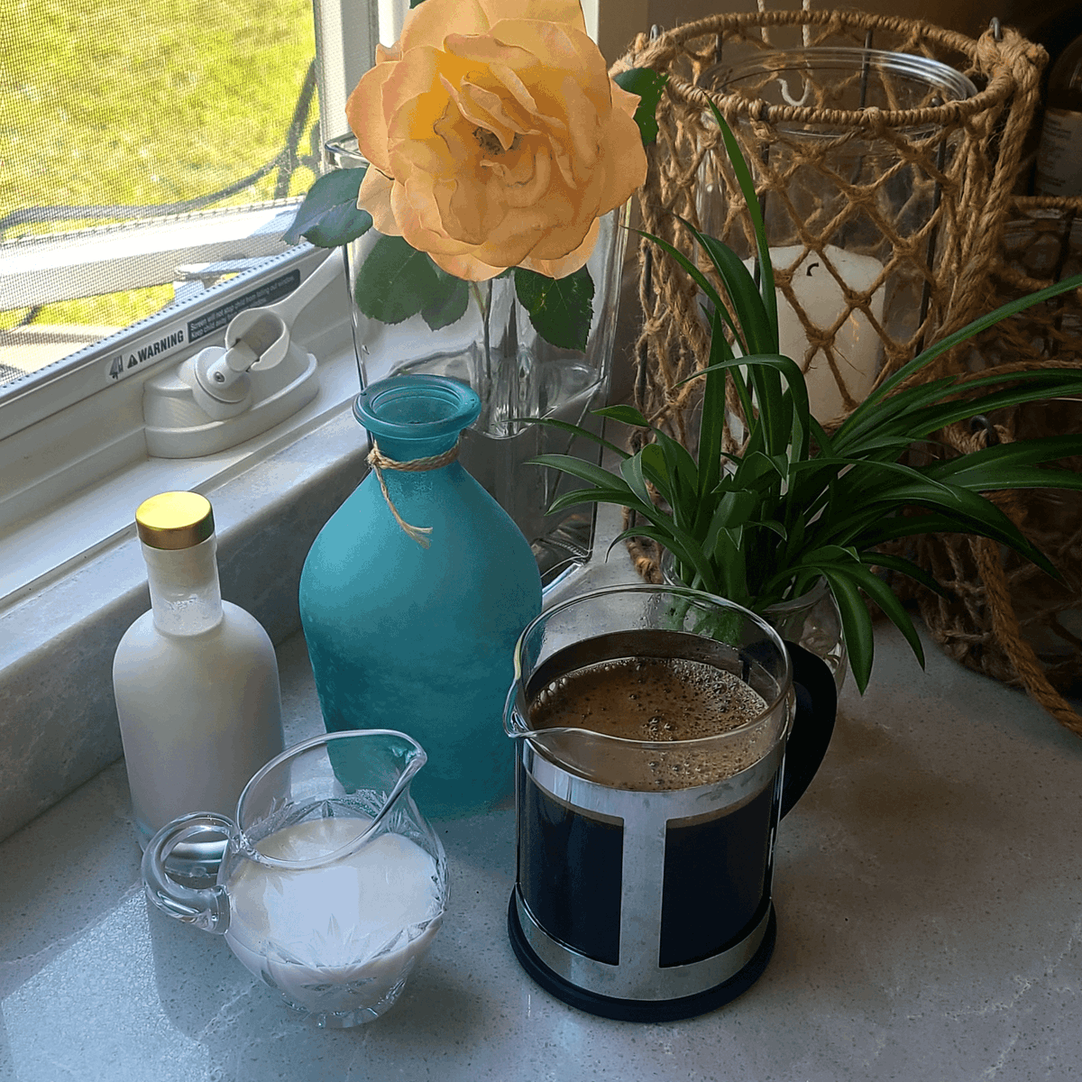 Cococubes137380's tweet image. 🌿 At Coco Cubes, we&apos;re proud to be part of the movement for transparency in the food industry and a commitment to the purity of our product, maintaining a product free from additives. 

#PureIngredients #TransparencyMovement