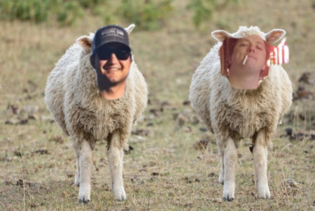 BigPickJoe's tweet image. Michigan +7.5 

Don’t follow these two sheep to slaughter this weekend. @stuhtx @LaneysLocks 

We bet numbers not teams!