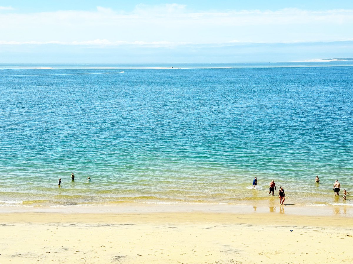 shomali11's tweet photo. Beach https://t.co/JKkdkXjhjR