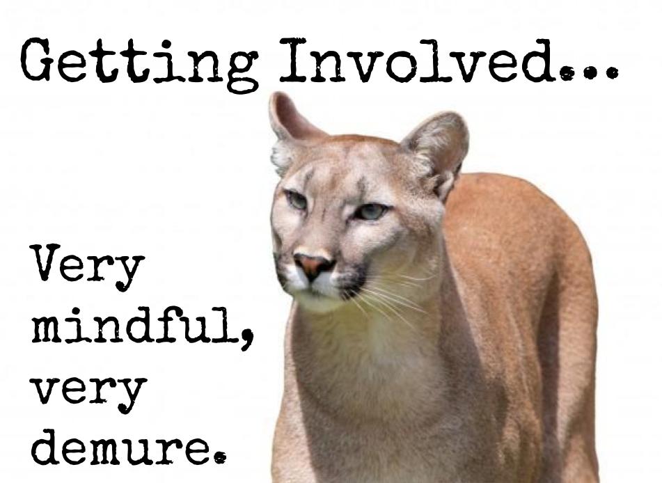 Parents/Guardians:  Get Involved!
Here are several ways in which you can get involved. I'm hoping there is at least one that might work for you! Please fill out this form and I will follow up with you on specifics for each category you signed up for:
forms.gle/jmVVShqhKvazuP…
Mr. B