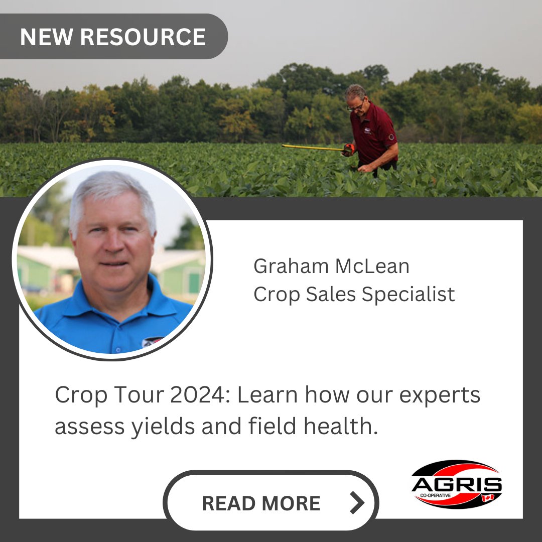agris_coop's tweet image. Unlock the secrets to maximizing your harvest with insights from Crop Tour 2024! 🌾 Learn how our experts assess yields and field health. Read more on our website! #GLGTour2024 #FarmingSmart #Agronomy Read more: bit.ly/4edBJQH