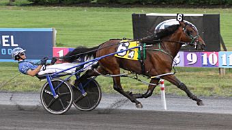 Saunders bullish on Manolete

Read now bit.ly/3X8TPMG

Lisa Photo

#harnessracing 

<a href="/HarnessKenW/">Ken Weingartner</a> <a href="/TheMeadowlands/">Meadowlands Racing</a>