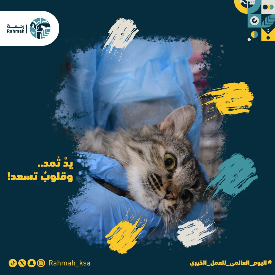 جمعية رحمة للرفق بالحيوان tweet media