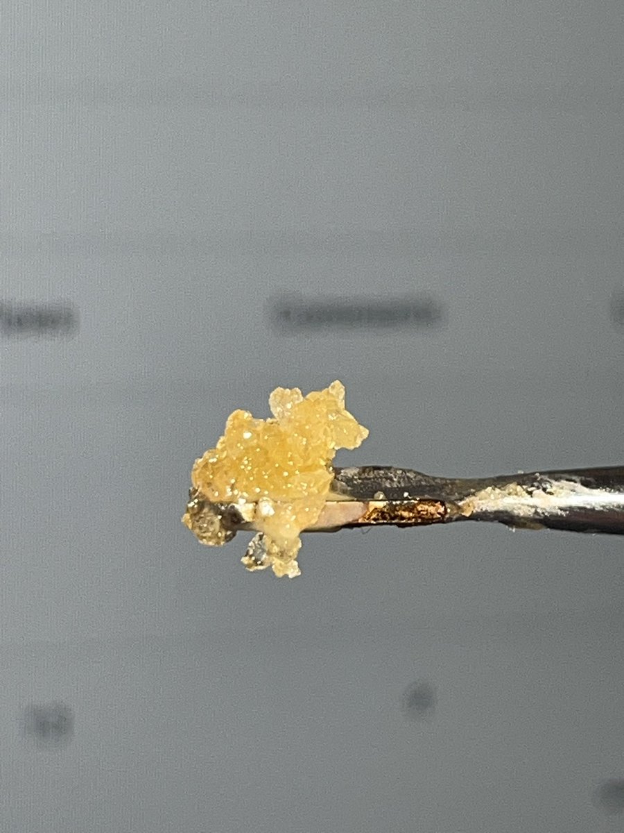 Spaceings's tweet photo. @JLittys 🍯✨💨 https://t.co/EsFzMG5H9n