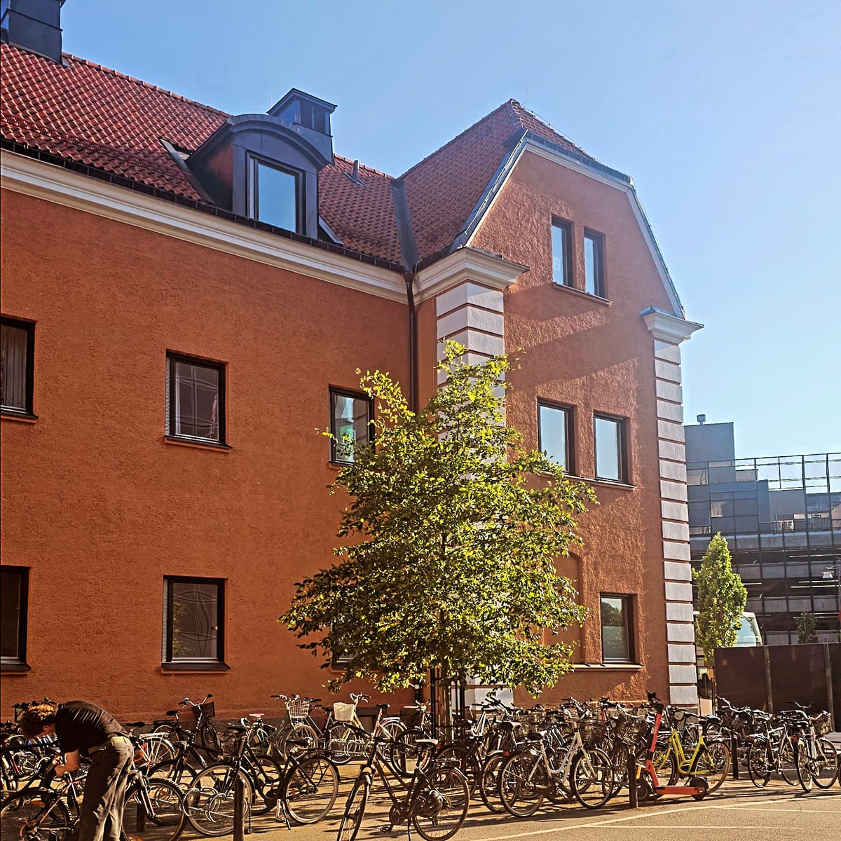 Sultana Shajahan, MD, MPH tweet media