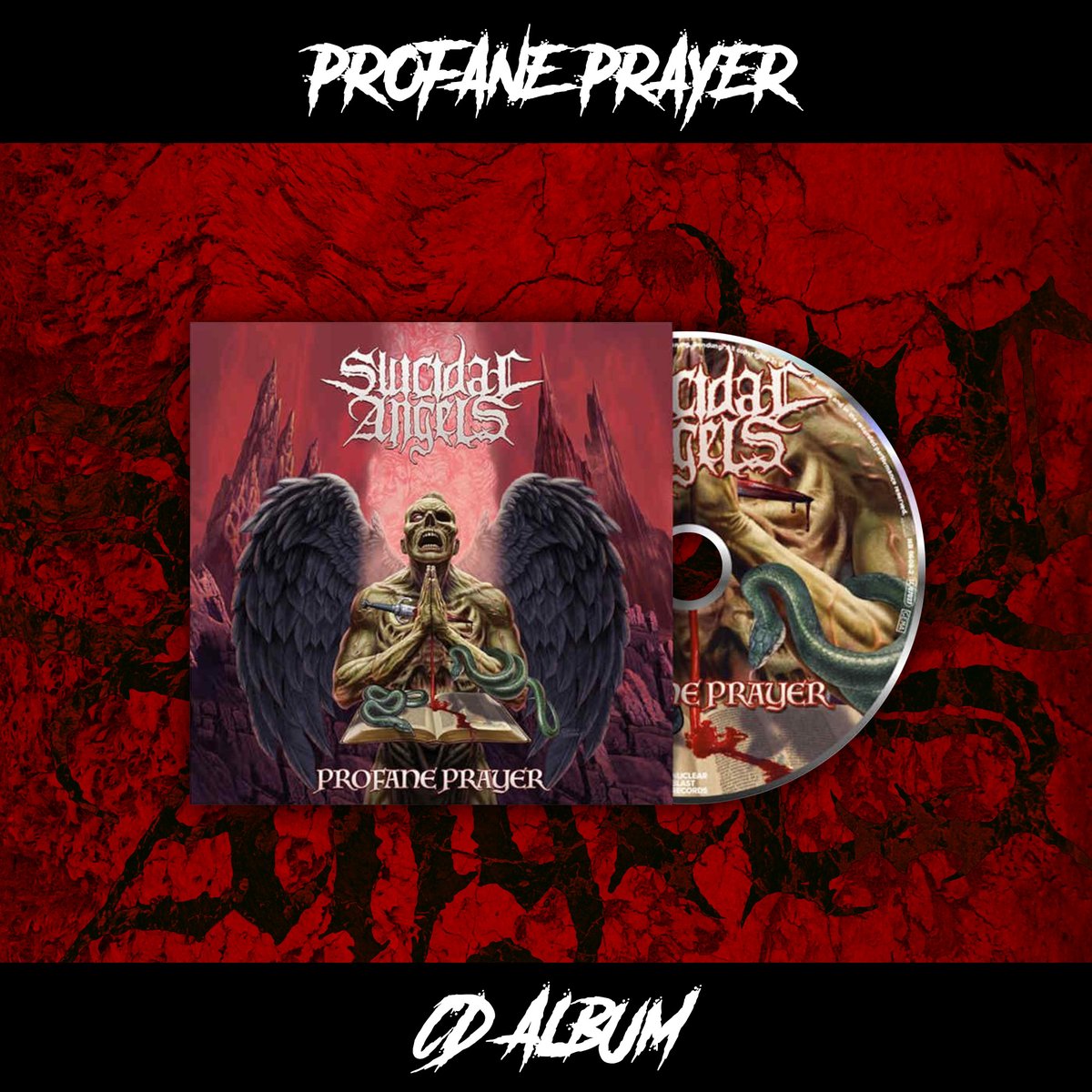 Suicidal Angels tweet media