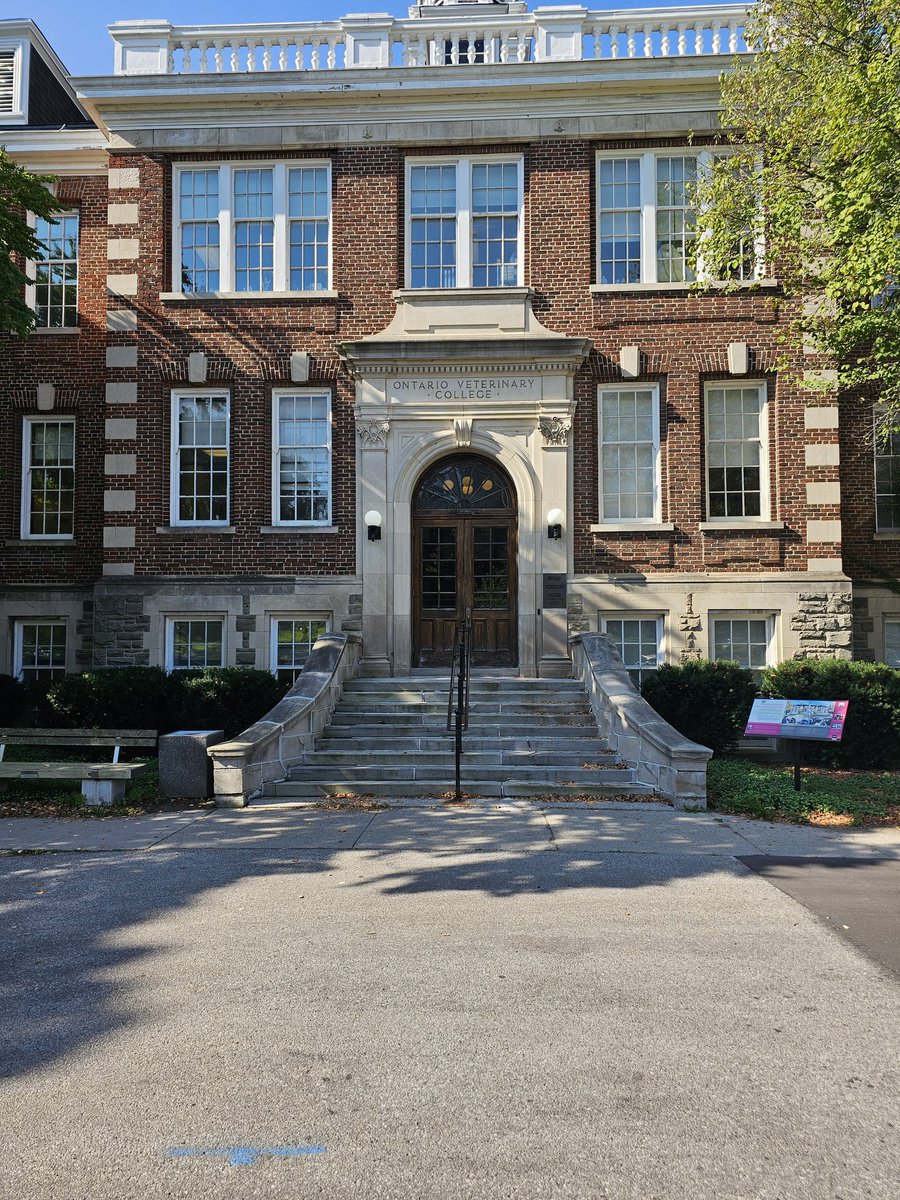 Ian Tobias (@itobiaslab) on Twitter photo This week, we're welcoming the first students to the Tobias Lab at <a href="/OntVetCollege/">Ontario Veterinary College</a>! I can't wait to see the innovative contributions they'll bring to our #GenomeEditing and #CellFate projects! This week, we're welcoming the first students to the Tobias Lab at <a href="/OntVetCollege/">Ontario Veterinary College</a>! I can't wait to see the innovative contributions they'll bring to our #GenomeEditing and #CellFate projects!