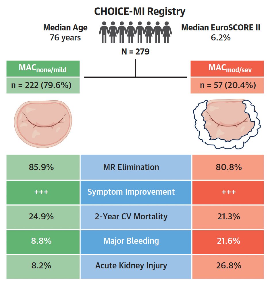 Augustin Coisne (@augustincoisne) on Twitter photo 💥 Outcomes Following TMVR Using Dedicated Devices in Patients With MAC. The last study from the CHOICE-MI registry just published in #JACCInt <a href="/JACCJournals/">JACC Journals</a>
🌐 sciencedirect.com/science/articl…
@SebLudwig1 <a href="/AndreaScotti21/">Andrea Scotti</a> <a href="/jgranadacrf/">Juan F. Granada</a> <a href="/Lenard08808061/">Lenard Conradi</a> <a href="/modine_thomas/">thomas modine</a> 💥 Outcomes Following TMVR Using Dedicated Devices in Patients With MAC. The last study from the CHOICE-MI registry just published in #JACCInt <a href="/JACCJournals/">JACC Journals</a>
🌐 sciencedirect.com/science/articl…
@SebLudwig1 <a href="/AndreaScotti21/">Andrea Scotti</a> <a href="/jgranadacrf/">Juan F. Granada</a> <a href="/Lenard08808061/">Lenard Conradi</a> <a href="/modine_thomas/">thomas modine</a>