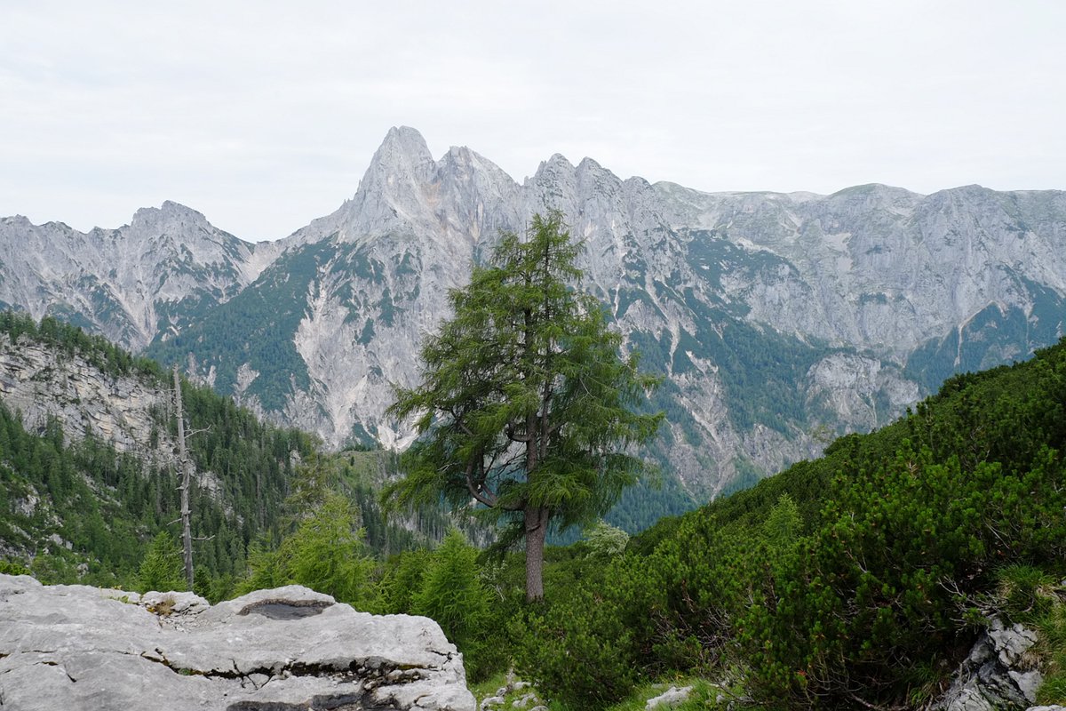 Interested in a PhD at the interface between ecological and social systems? Excited about research on protected area management, addressing the nexus of conservation and recreation? Come join our team and work with us! Application deadline Sept.22.
syncandshare.lrz.de/getlink/fiNLCQ…