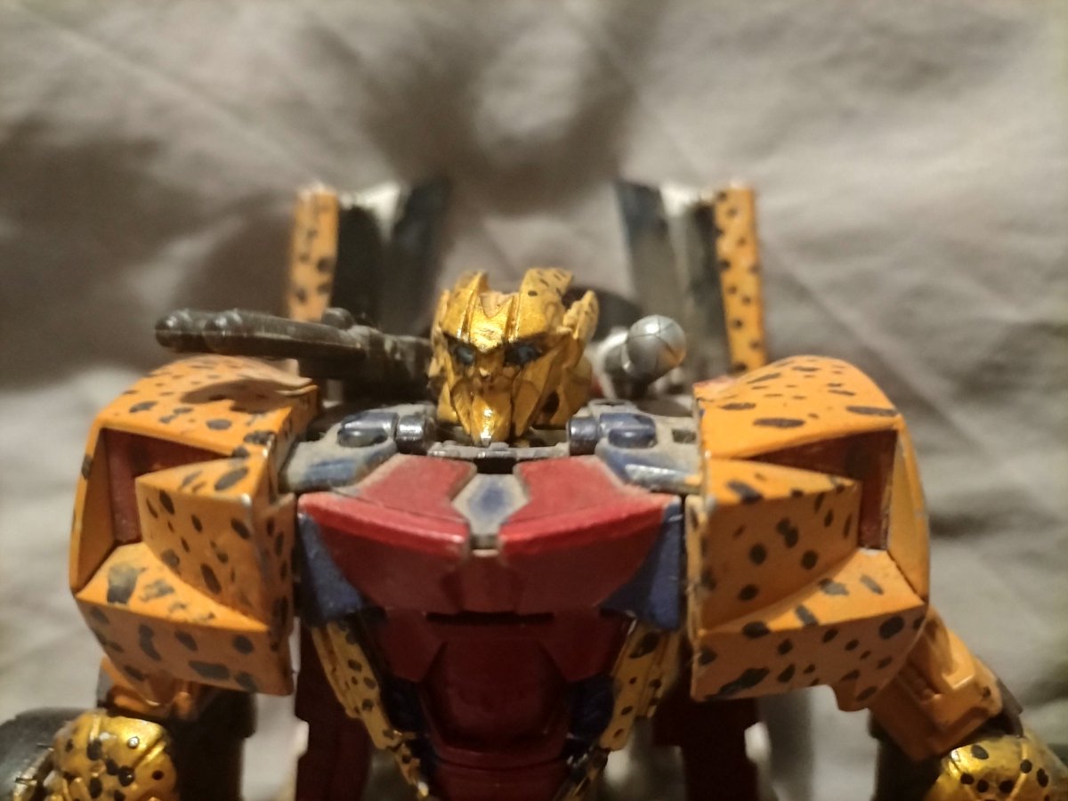 Iacon City Rockgirl tweet media