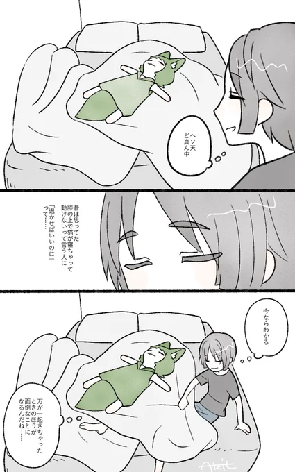 そして今日も端で寝る
#こんちゃんと暮らす 