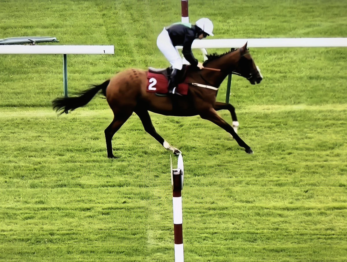 Amateur Jockeys GB (@amajox) on Twitter photo Congrats <a href="/amajox/">Amateur Jockeys GB</a> #IsabellaOliver <a href="/HJOliverRacing/">Henry Oliver Racing</a> #FIRSTWINNER #Haliphon for <a href="/ianwilliamsraci/">Ian Williams Racing</a> <a href="/haydockraces/">Haydock Park Races</a> #8ran #topride #topjock Well done Bella! π#daytoremember <a href="/AliceTregoning/">Alice Tregoning</a> π₯<a href="/patmillman/">Pat Millman</a> π₯Many congrats to winning connections π₯<a href="/NeChanceRacing/">Ne-Chance</a> Congrats <a href="/amajox/">Amateur Jockeys GB</a> #IsabellaOliver <a href="/HJOliverRacing/">Henry Oliver Racing</a> #FIRSTWINNER #Haliphon for <a href="/ianwilliamsraci/">Ian Williams Racing</a> <a href="/haydockraces/">Haydock Park Races</a> #8ran #topride #topjock Well done Bella! π#daytoremember <a href="/AliceTregoning/">Alice Tregoning</a> π₯<a href="/patmillman/">Pat Millman</a> π₯Many congrats to winning connections π₯<a href="/NeChanceRacing/">Ne-Chance</a>