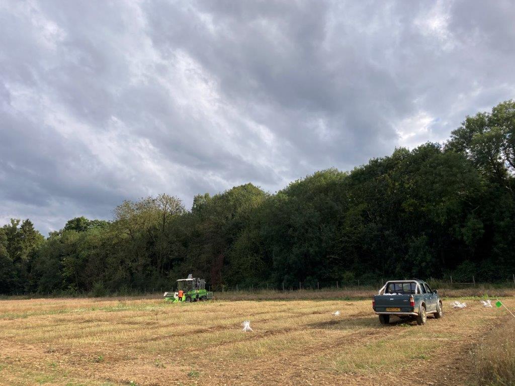 Johnathan Napier (@johnathannapie1) on Twitter photo Another GM field trial at <a href="/Rothamsted/">Rothamsted Research</a> successfully completed! This is the eleventh consecutive year growing GM camelina, with a range of traits including omega-3s and ketocarotenoids. I still get a massive buzz from seeing our technology in the field - where it should be! Another GM field trial at <a href="/Rothamsted/">Rothamsted Research</a> successfully completed! This is the eleventh consecutive year growing GM camelina, with a range of traits including omega-3s and ketocarotenoids. I still get a massive buzz from seeing our technology in the field - where it should be!
