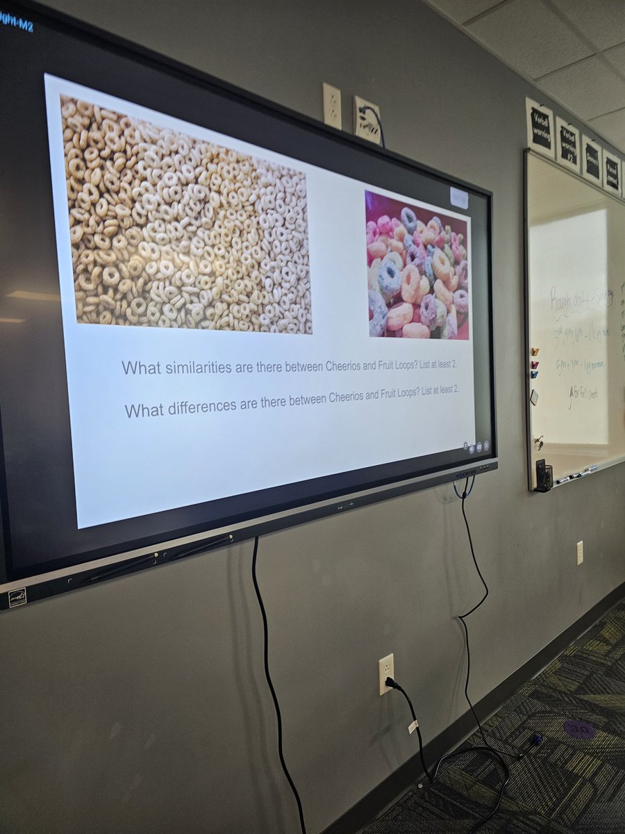 Taryn McKnight tweet media