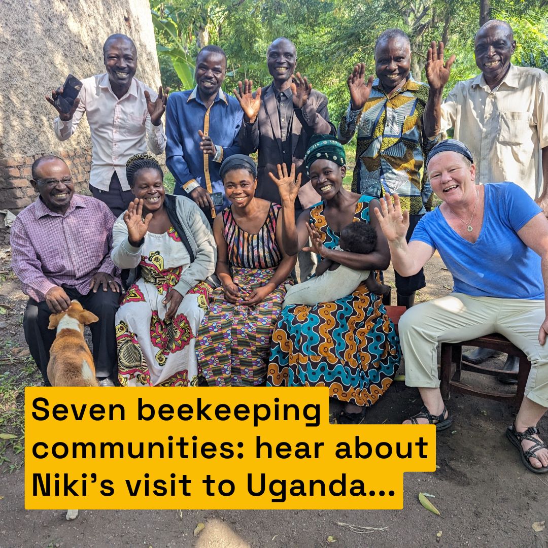 BeesAbroad's tweet photo. In June this year, Niki Backes, visited seven beekeeping communities we work with in Uganda 🇺🇬

We've pulled some quotes from here interview here: https://t.co/NdUNeOzhzo
