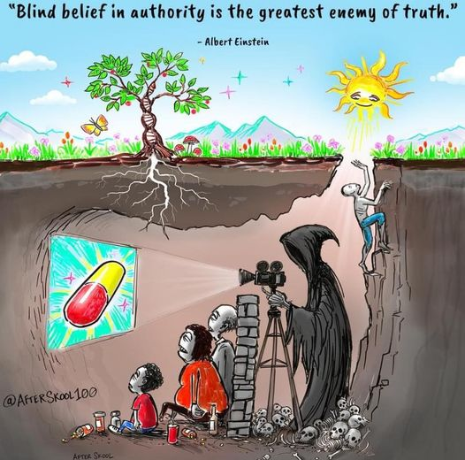 Troy Shilling tweet media