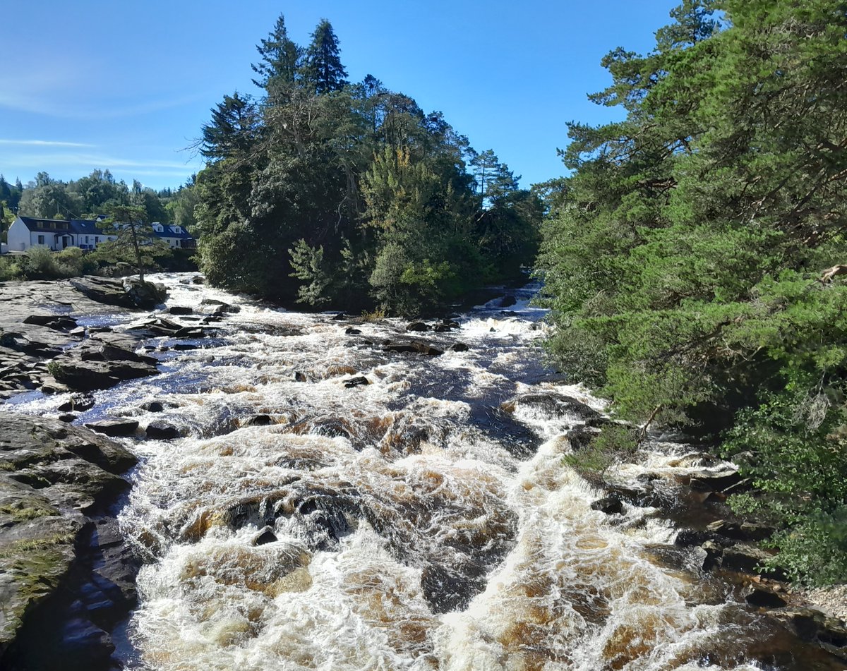 Lorne MacLeod tweet media