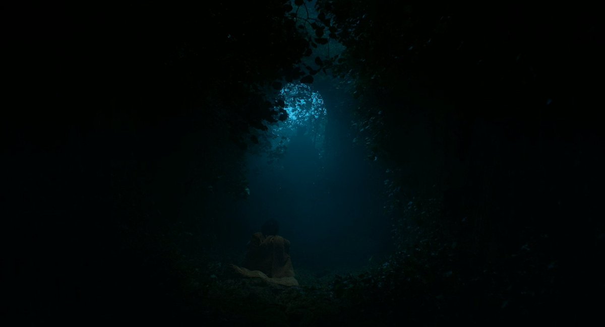 TheCinesthetic's tweet photo. The Green Knight (2021) dir. David Lowery https://t.co/szJ9Y0jrUy