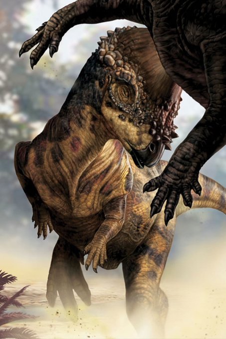 Watch trax ✭'s leaked NSFW photo on TwXstars