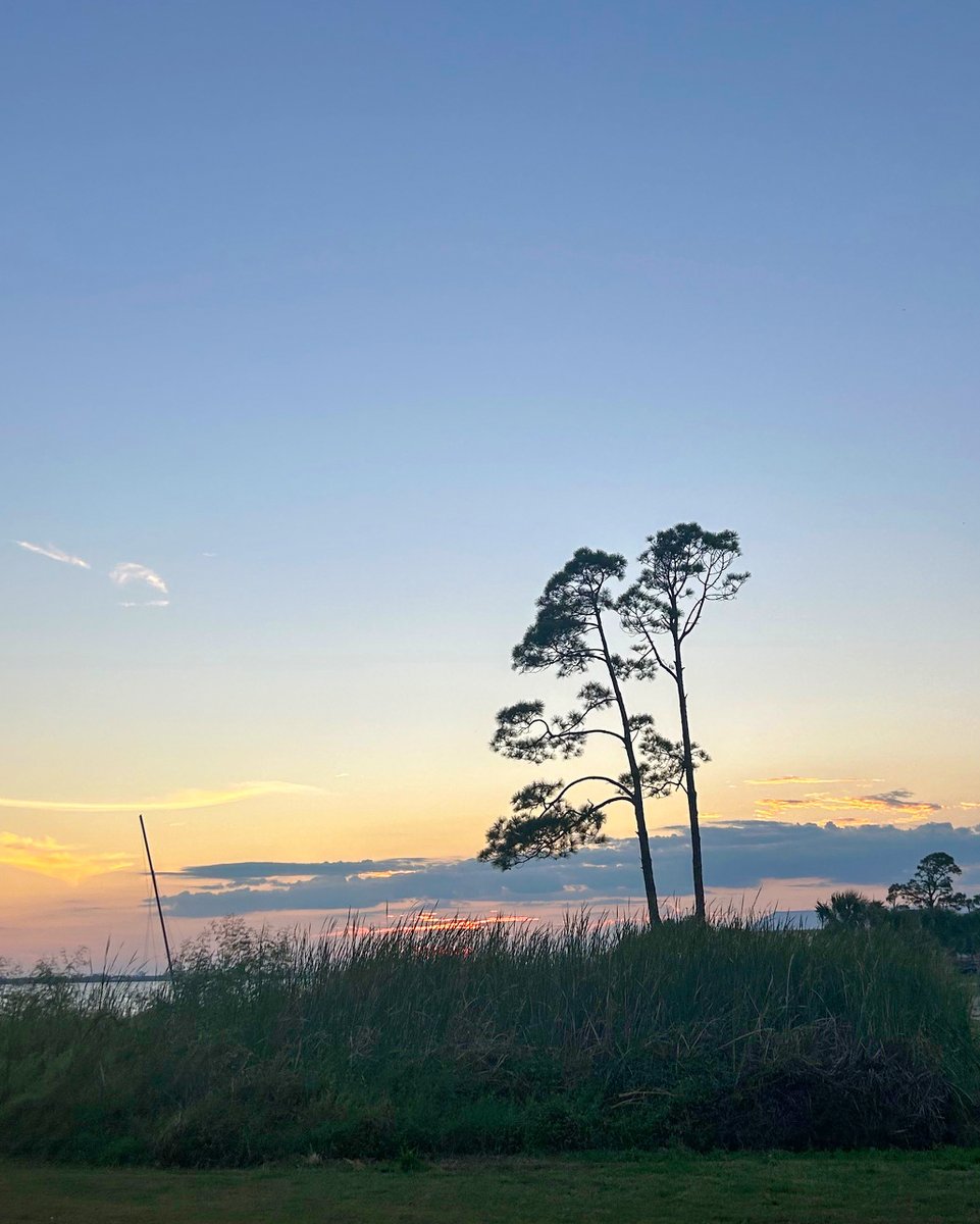 Sunsets by the St. Andrews Bay are absolutely unforgettable! Take in the view from a bayside beach in Panama City and enjoy 🌅

#LovePC #DestinationPanamaCity