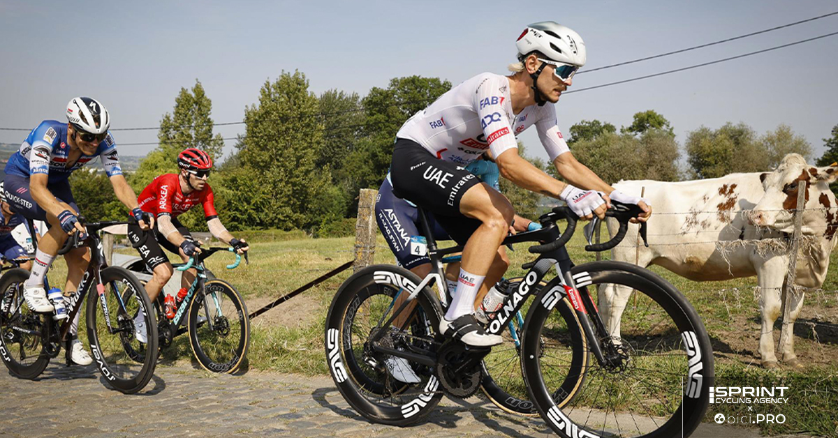 bici.PRO (@bicipro1) on Twitter photo Due mesi senza problemi e <a href="/AlessandroCovi/">Alessandro Covi</a> torna sulla testa del gruppo. Il corridore del <a href="/TeamEmiratesUAE/">@UAE-TeamEmirates</a> per ora ha aiutato <a href="/MarcHirschi/">Hirschi Marc</a> e <a href="/Tim_Wellens/">Tim Wellens</a> nelle loro vittorie. Il suo obiettivo è ritrovarsi e poi semmai pensare a vincere.
#bicipro #cycling
bici.pro/focus/incontri… Due mesi senza problemi e <a href="/AlessandroCovi/">Alessandro Covi</a> torna sulla testa del gruppo. Il corridore del <a href="/TeamEmiratesUAE/">@UAE-TeamEmirates</a> per ora ha aiutato <a href="/MarcHirschi/">Hirschi Marc</a> e <a href="/Tim_Wellens/">Tim Wellens</a> nelle loro vittorie. Il suo obiettivo è ritrovarsi e poi semmai pensare a vincere.
#bicipro #cycling
bici.pro/focus/incontri…