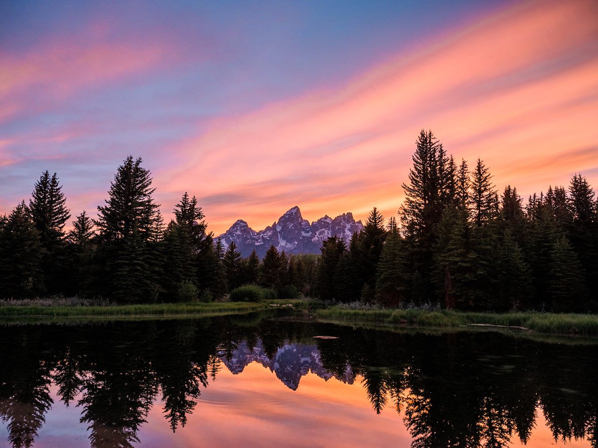 nev_in_color's tweet photo. fade into dusk. https://t.co/Uag44pt4ZI