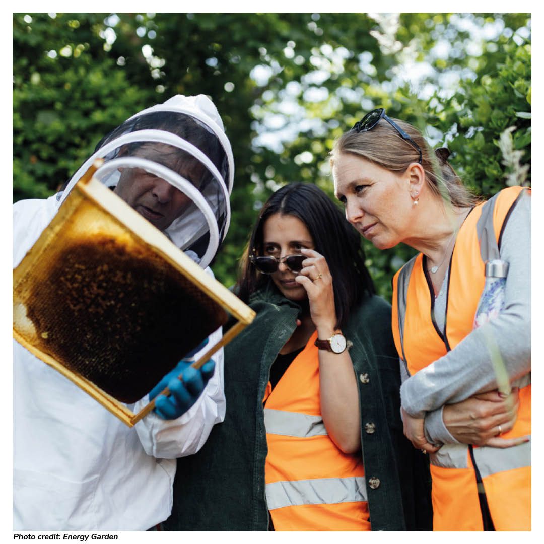 🏙️ Unveiling the magic of tranquil urban spaces, our #TranquilStories share the calm to be found in the city🌿
Our fourth blog explores the #EnergyGarden in Brondesbury Park providing a dosage of nature for local residents &amp; TfL commuters @EnergyGardenLND buff.ly/3AVLiFC
