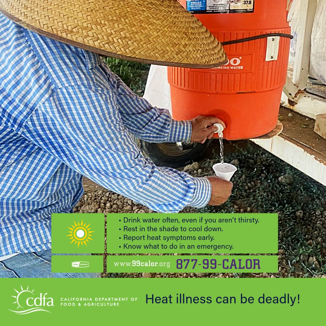 A heat advisory remains in effect throughout California! Temperatures of more than 100 degrees are expected. CDFA reminds the agricultural community to protect workers from heat illness as high temperatures are forecast across the state through Friday.
dir.ca.gov/DIRNews/2024/2…