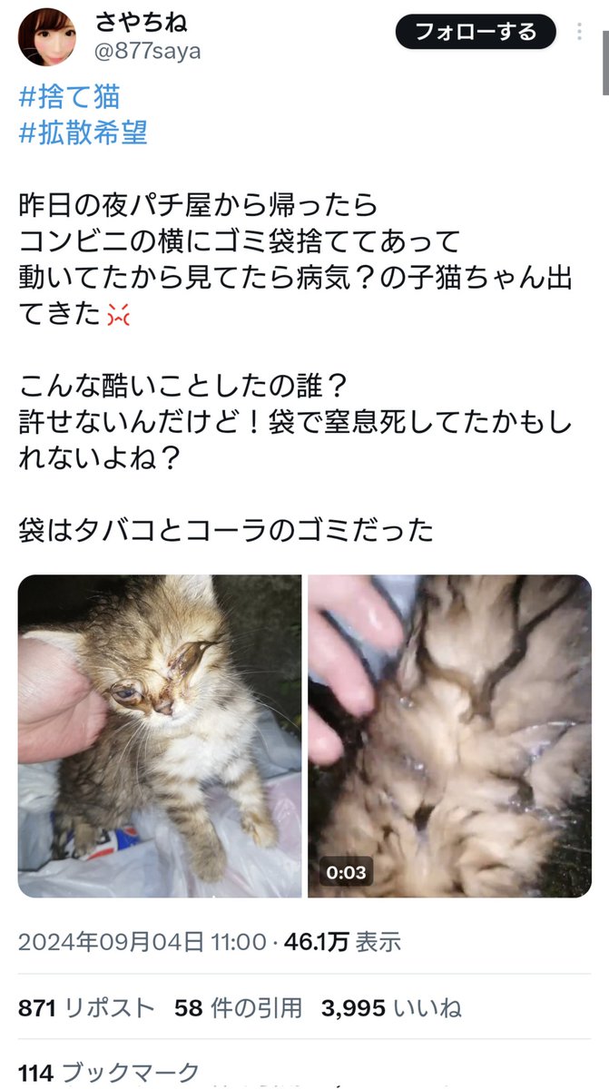 #注意喚起 #拡散希望 #捨て猫

この【ゴミ袋から出てきた捨て猫】のポストを拡散しないで！

スケーティング
ロードオブヒカキン
福 拾われ捨て猫
不死鳥のココ
ほむら
かおり
神奈川にゃんチーム

これらと同一人物の可能性が非常に高いです！(わたしの固定ポスト参照)
支援は絶対しないでください！