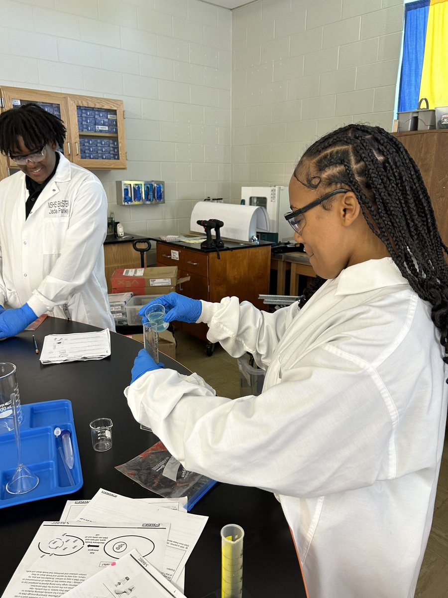 DanielleShawjo1's tweet photo. BioSTEM II: DNA Basics: Obj:  4: DNA extraction:  Explain how DNA serves as a template for self-replication and encoding of biological information using an original visual DNA model. DNA extraction from a strawberry. Tomorrow we will centrifuge and analyze https://t.co/3ZqVGpv5Hv