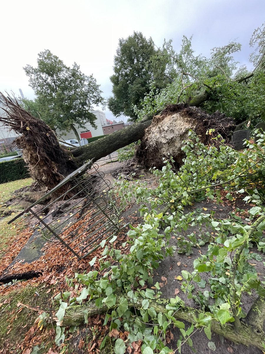 Arjan Hof (@hof_arjan) on Twitter photo Heftige schade na noodweer in <a href="/gemtwenterand/">Gemeente Twenterand</a> Vandaag bekeken we de situatie o.a. bij de oude begraafplaats. We gaan eerst puin ruimen en dan herstellen wat er te herstellen valt maar 100 jaar oude bomen blijven onvervangbaar. Ontzettend jammer <a href="/LandschapOV/">Landschap Overijssel</a> <a href="/ProvOverijssel/">Provincie Overijssel</a> Heftige schade na noodweer in <a href="/gemtwenterand/">Gemeente Twenterand</a> Vandaag bekeken we de situatie o.a. bij de oude begraafplaats. We gaan eerst puin ruimen en dan herstellen wat er te herstellen valt maar 100 jaar oude bomen blijven onvervangbaar. Ontzettend jammer <a href="/LandschapOV/">Landschap Overijssel</a> <a href="/ProvOverijssel/">Provincie Overijssel</a>