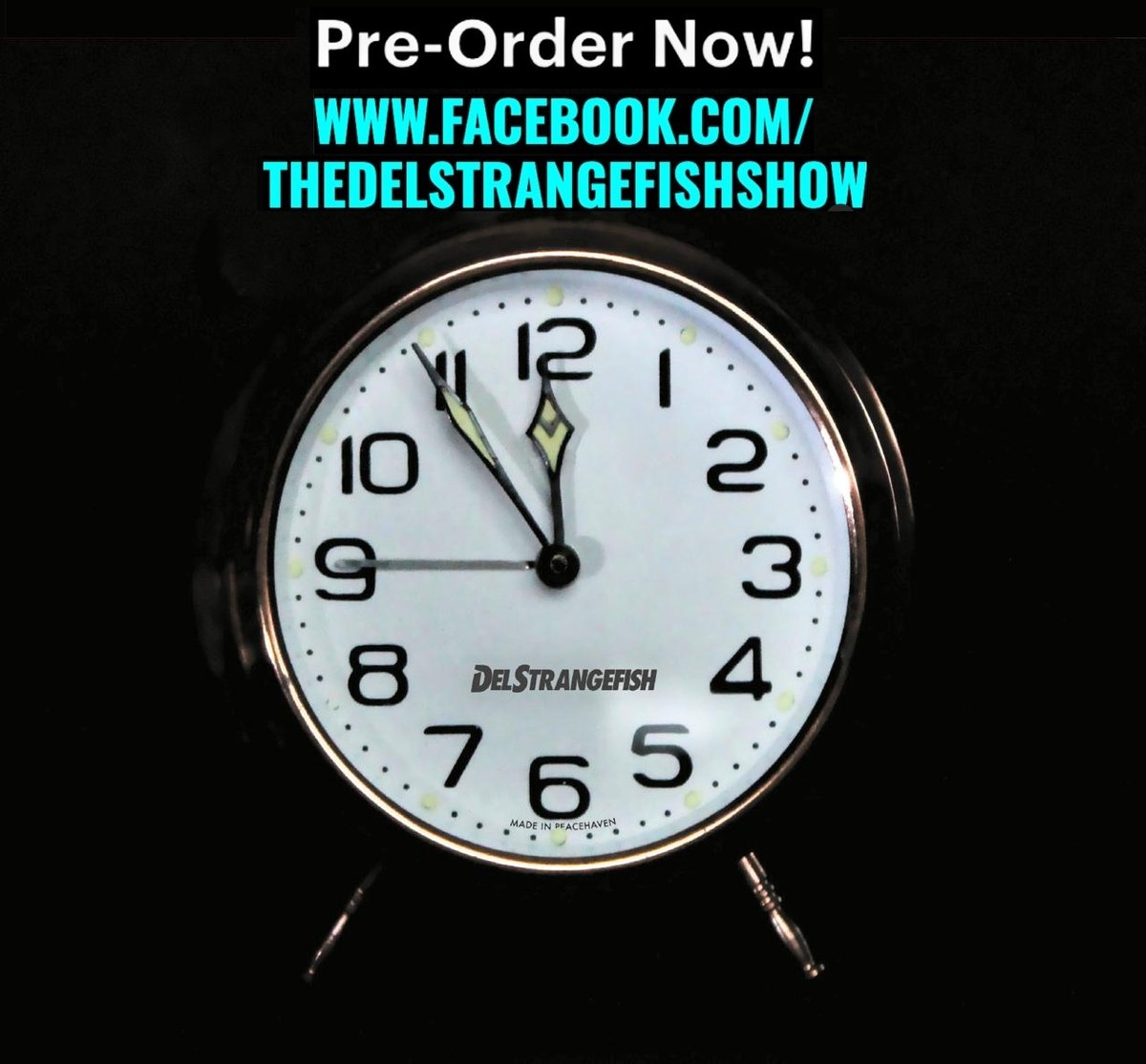 The new CD is now available to pre-order 😀
14 brand-new tracks 😮
UK package and postage cost just £15 😁
Please send a private message for details 👍
facebook.com/TheDelStrangef…