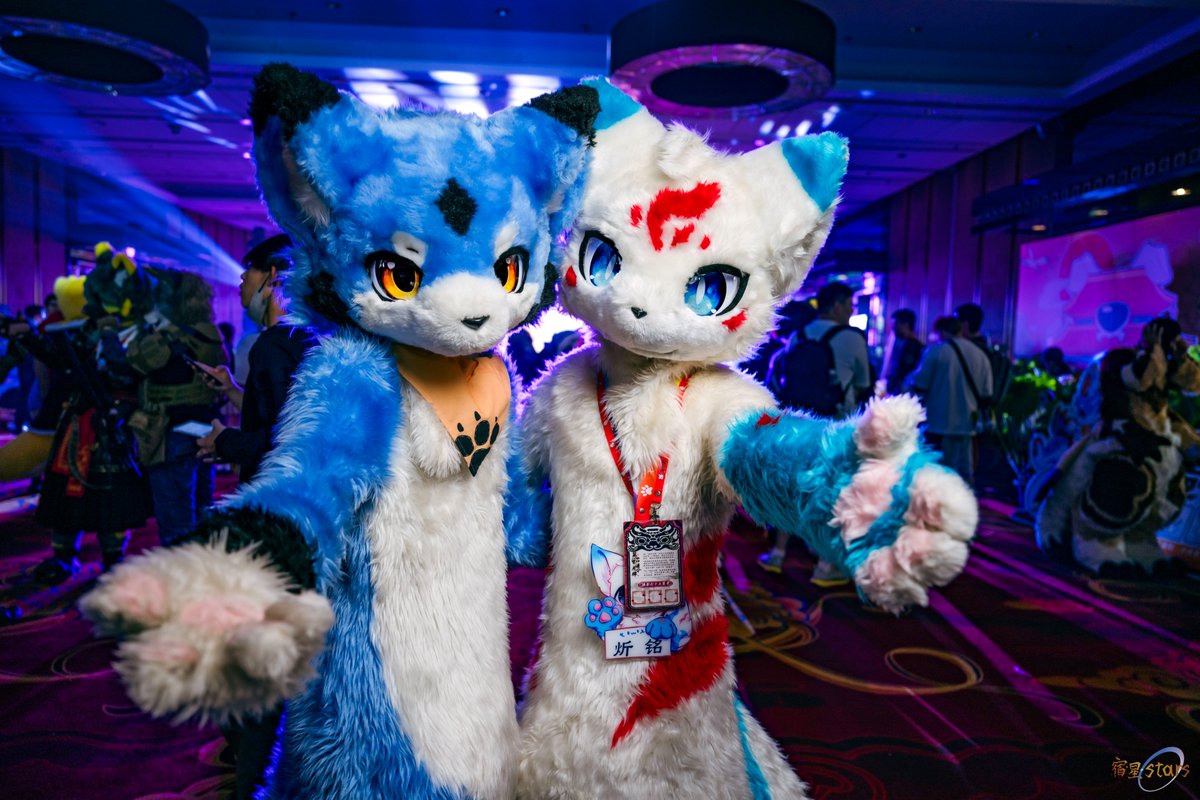 贴贴修狗
#FursuitFriday