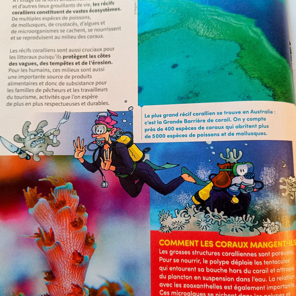 Annalisa Plaitano tweet media