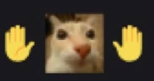 :^) tweet media