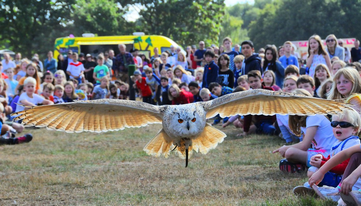COMMONS OPEN DAY - SUNDAY 8 SEPTEMBER!
10.30 to 5.00pm - Join us for our annual Commons Open Day!  Stalls, arena displays, music, birds of prey, the BMX Stunt Show, a Nature Safari, donkey/tractor rides, amazing prizes in the Charity Prize Draw! Info wpcc.org.uk/openday