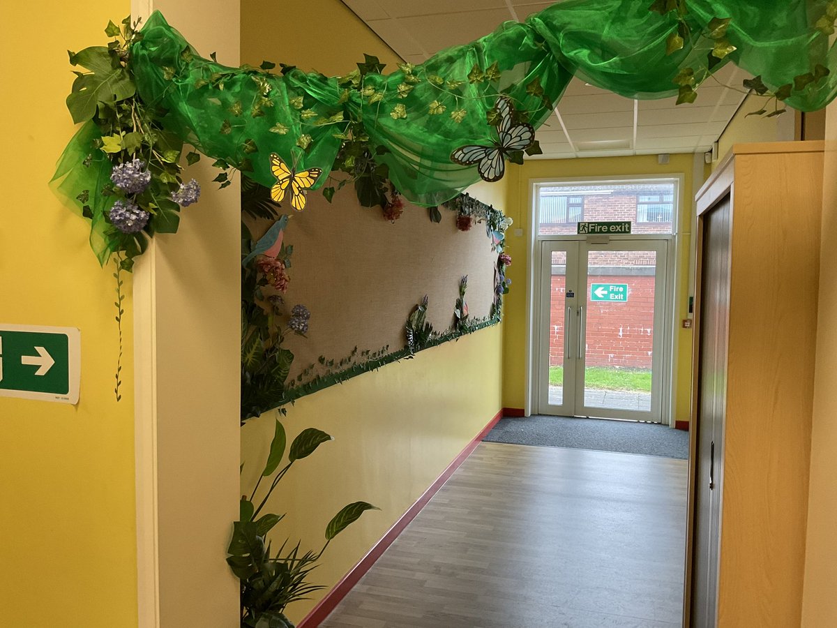 MrsIreland3's tweet image. We are bringing a touch of nature into school this year! #learningenvironment