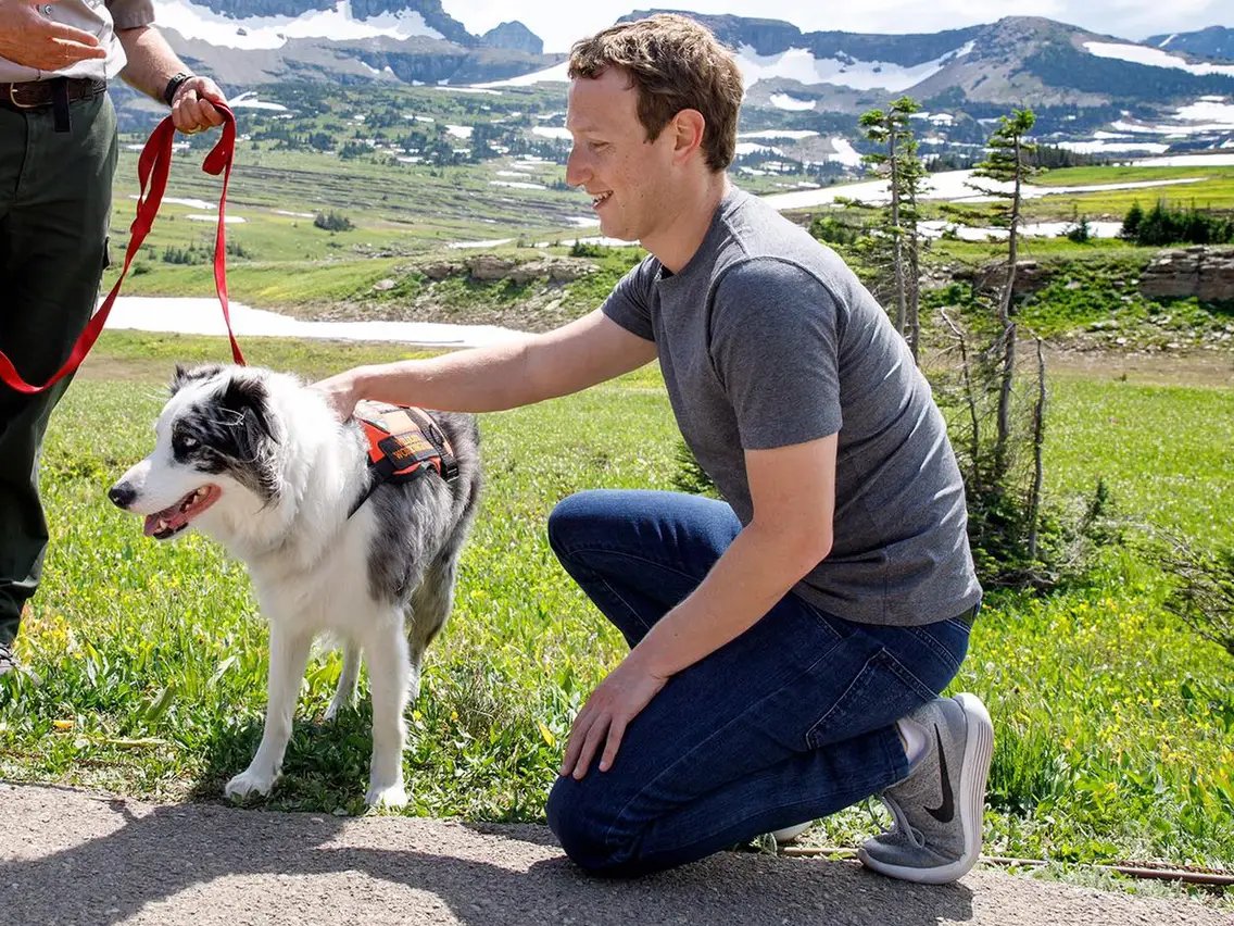 darshan's tweet photo. Mark Zuckerberg hates clothes.

He wears the same grey T-shirt every day.

Everyone needs to understand the Grey T-Shirt Principle and why it works: 🧵 https://t.co/U0Mg3RjTiB
