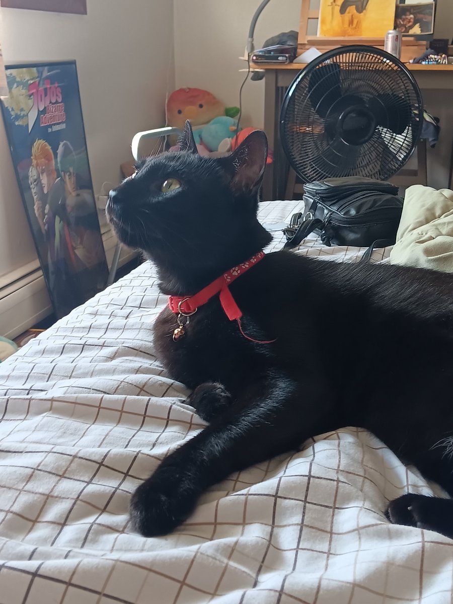 catboybride's tweet image. how does he go from being so joyous and whimsical to  evil and fucked up in .02 seconds