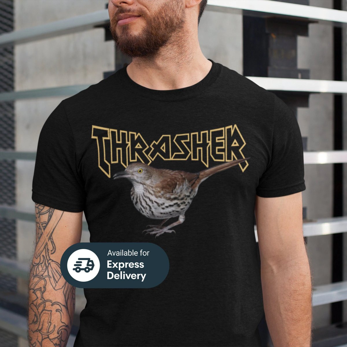 BirdSongLab tweet media