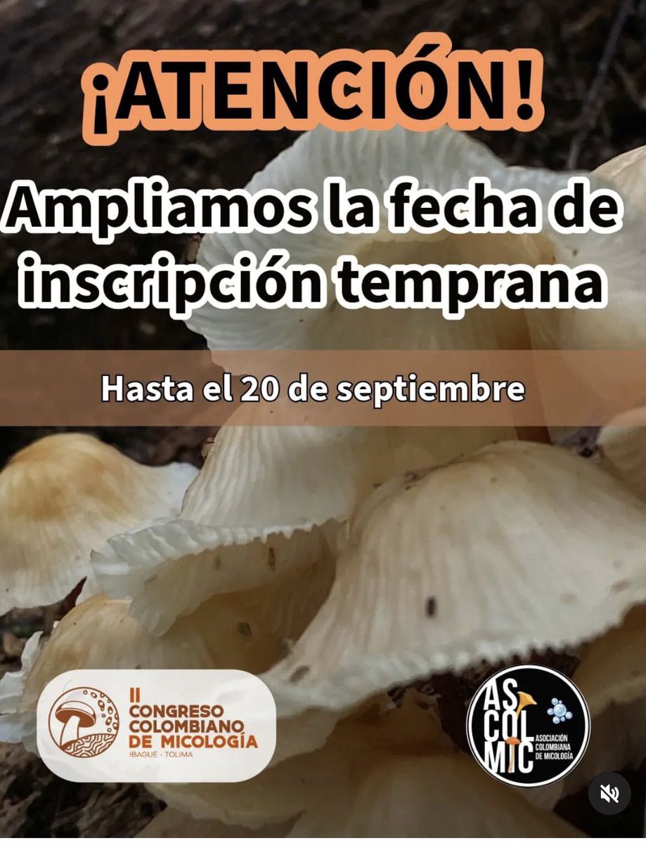 Ampliamos las fechas para el #IICCM 

asociacioncolombianademicologia.org/iicongresocolo…