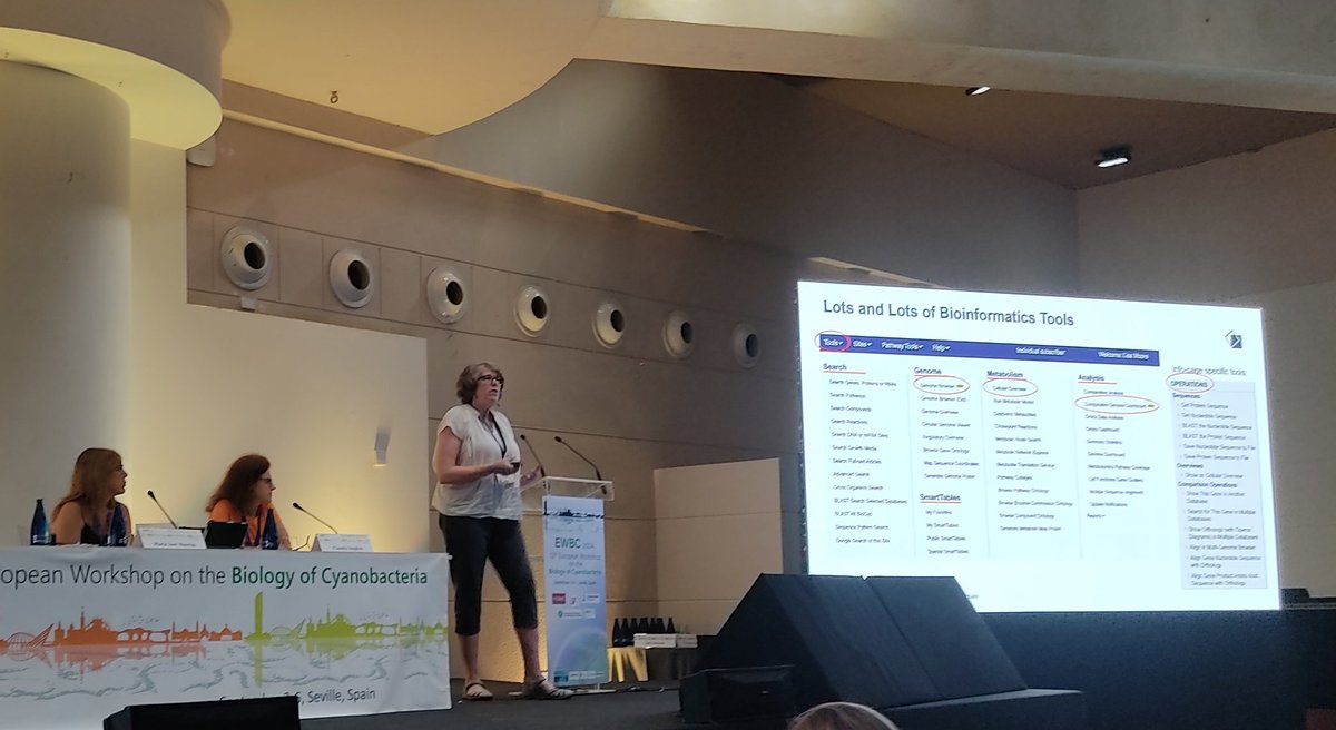 ewbc2024's tweet image. Final talks of the day, visit to the Alcazar next #EWBC2024