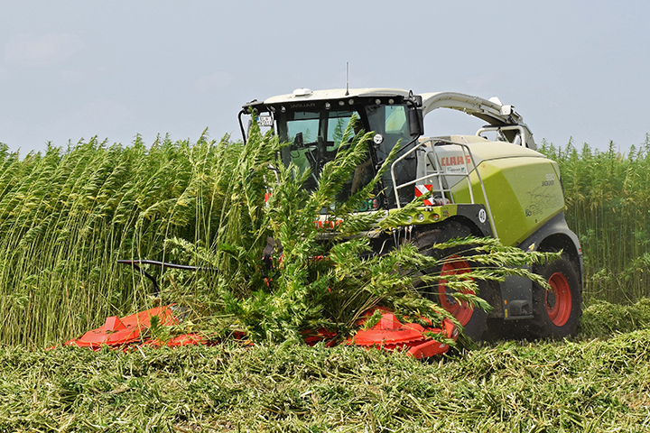 Agrifoto's tweet photo. Foto's van Herman Deuling - 13 en 20-8 https://t.co/C8gN6WENv0 https://t.co/YDX979CjkK