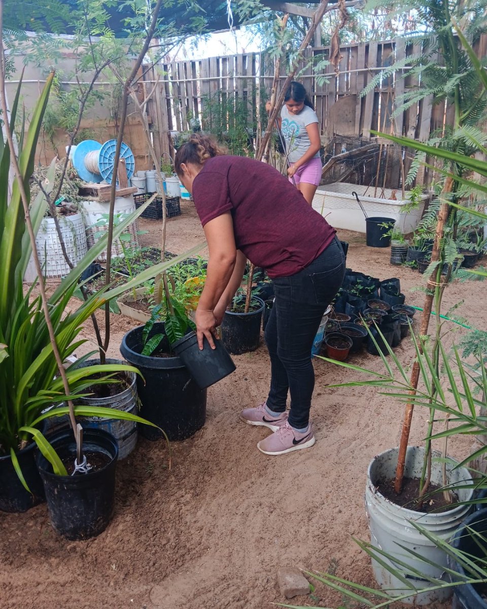 1MISSION tweet media