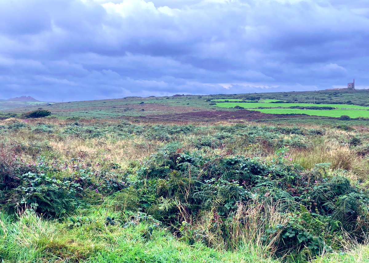 Tony Juniper tweet media