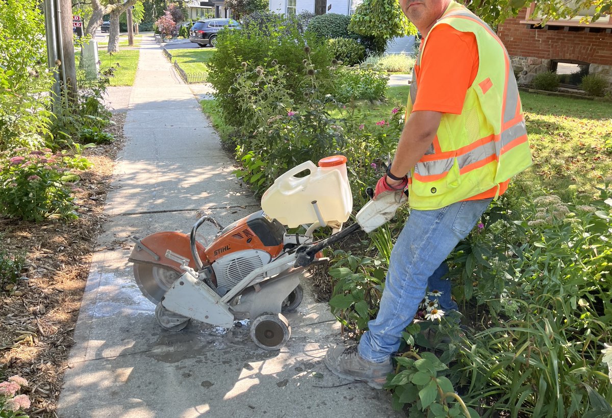 Ruthless_in_TO's tweet image. Help! Without notice our perfectly good 6-y/o sidewalk  being replaced &amp;amp; I&apos;ll lose my border plants again. #311Toronto no help on who to ask/contact about this. Somewhere there must be sidewalk standards &amp;amp; this surely meets them.  #CityofTO please spend your I/F $ more wisely!
