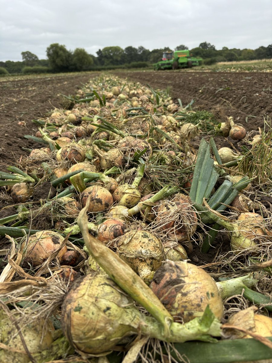 chennellsfarms tweet picture
